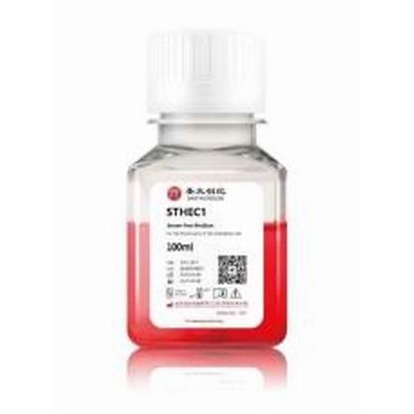 无异源即用型 原代内皮细胞培养基STHEC1