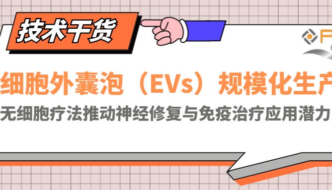 细胞外囊泡（EVs）规模化生产，无细胞疗法推动神经修复与免疫治疗应用潜力