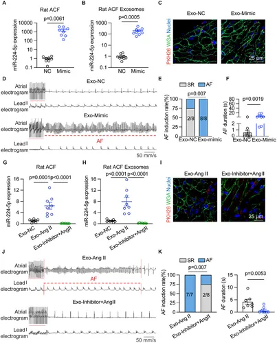 外泌体示踪 外泌体示踪