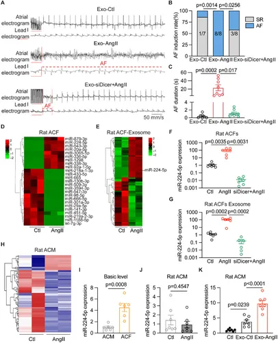 QPCR检测 QPCR检测