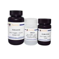 普鲁士蓝-核固红染色试剂盒