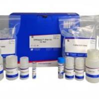 MP SPINeasy™土壤RNA提取试剂盒116585050
