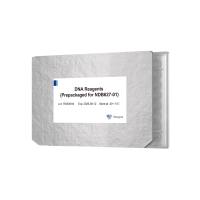 酶切片段化法DNA建库试剂盒（VAHTS Universal Plus DNA Library Prep Kit for Illumina V2）（ND627/NDB627）
