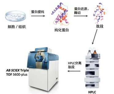 非靶向蛋白质组学