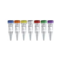 VAHTS TGS DNA Library Prep Kit for ONT V2（TS202）