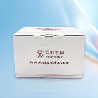 RN001 RNA 快速提取试剂盒