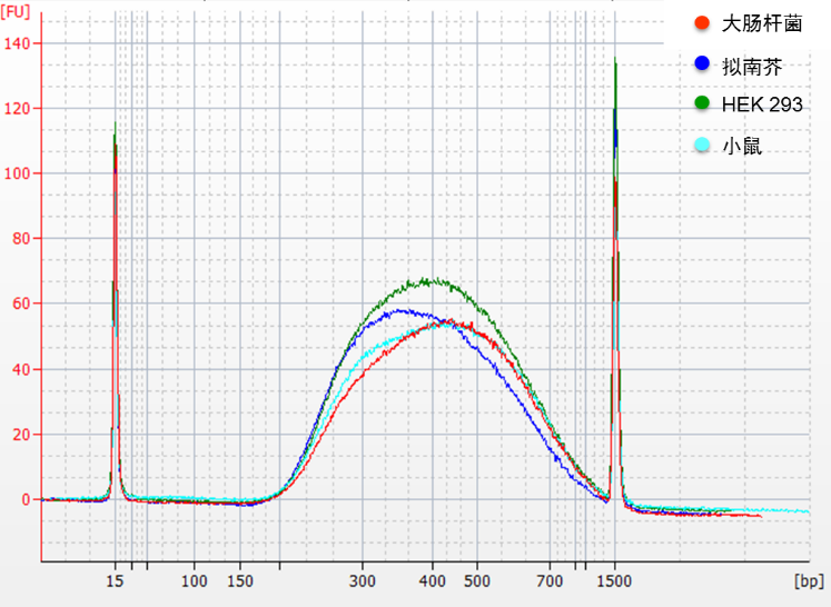 DNA文库构建试剂盒 VAHTS Universal Plu