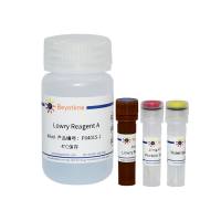 改良型Lowry蛋白浓度测定试剂盒