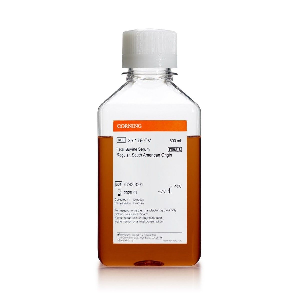 Corning南美血清现货热销 | Corning Fetal Bovine Serum