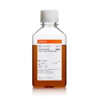 Corning南美血清现货热销 | Corning Fetal Bovine Serum