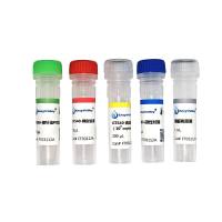 转基因大豆品系GTS40-3-2探针法PCR试剂盒