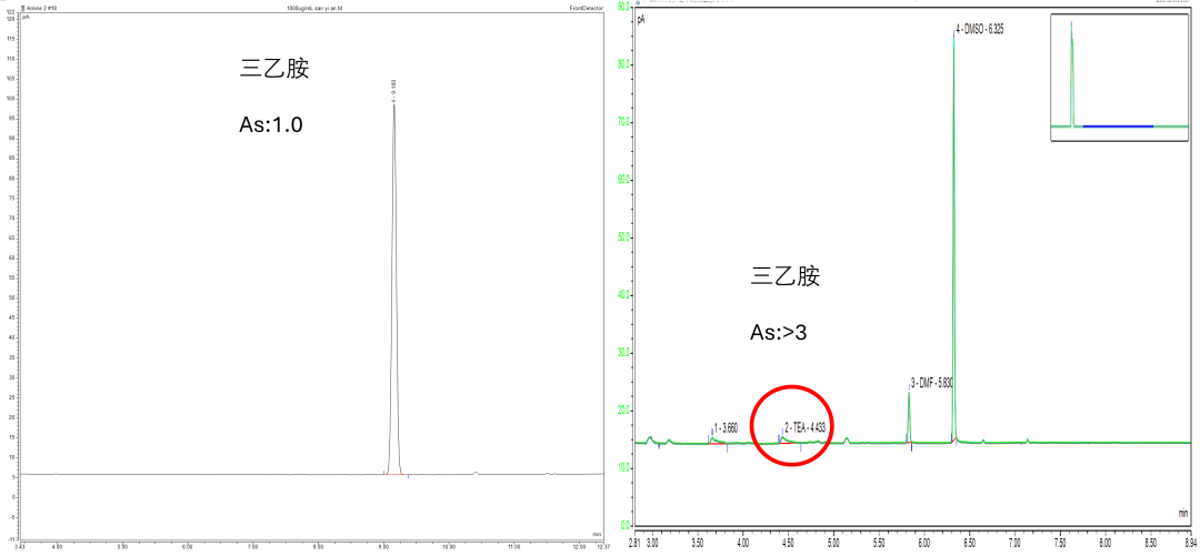 特色产品分享 | TG-VVOC B特色色谱柱在有机胺