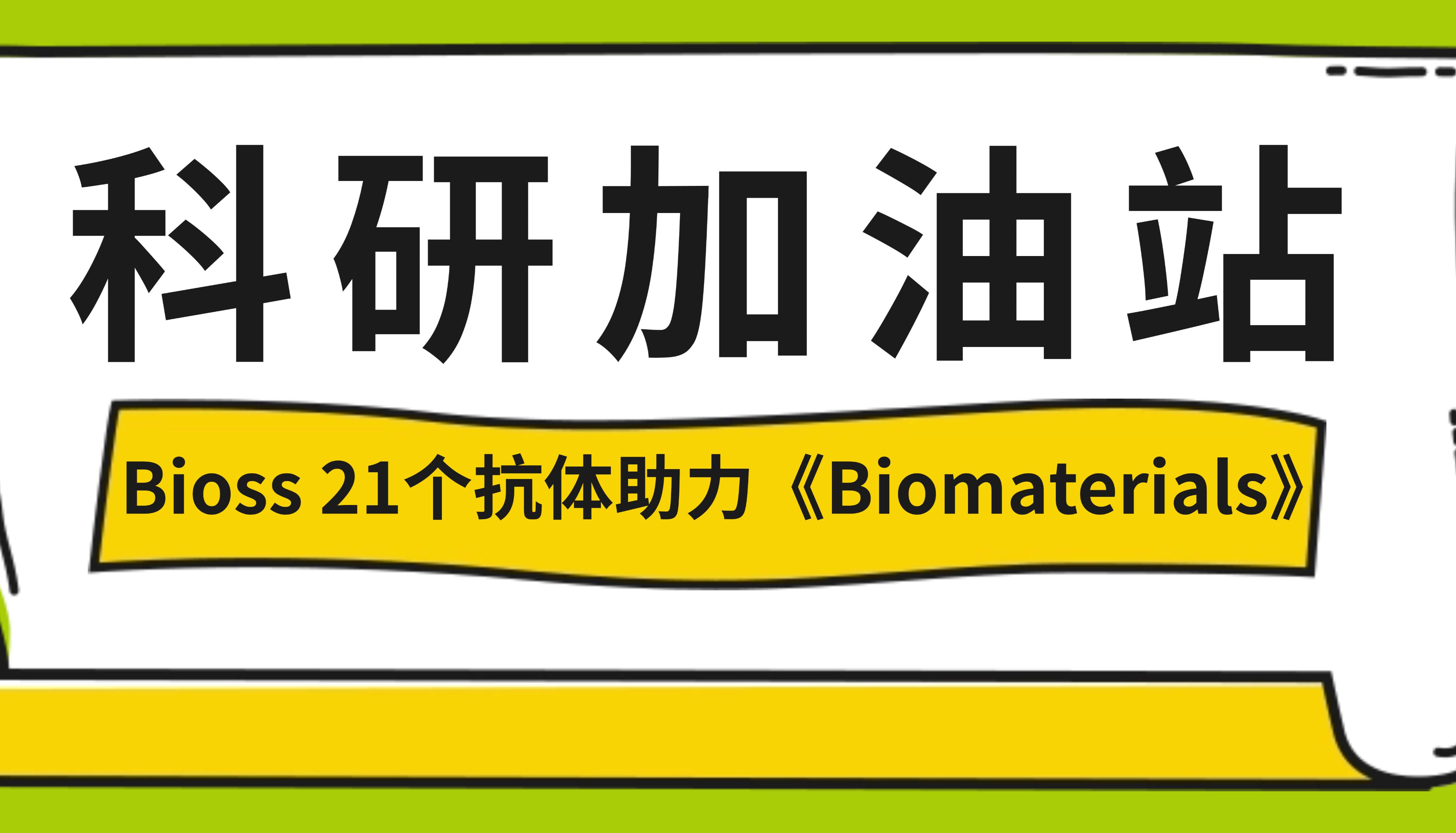 植物化学修饰的自然杀伤细胞重编程肿瘤微环境以实现实体瘤的强效免疫治疗