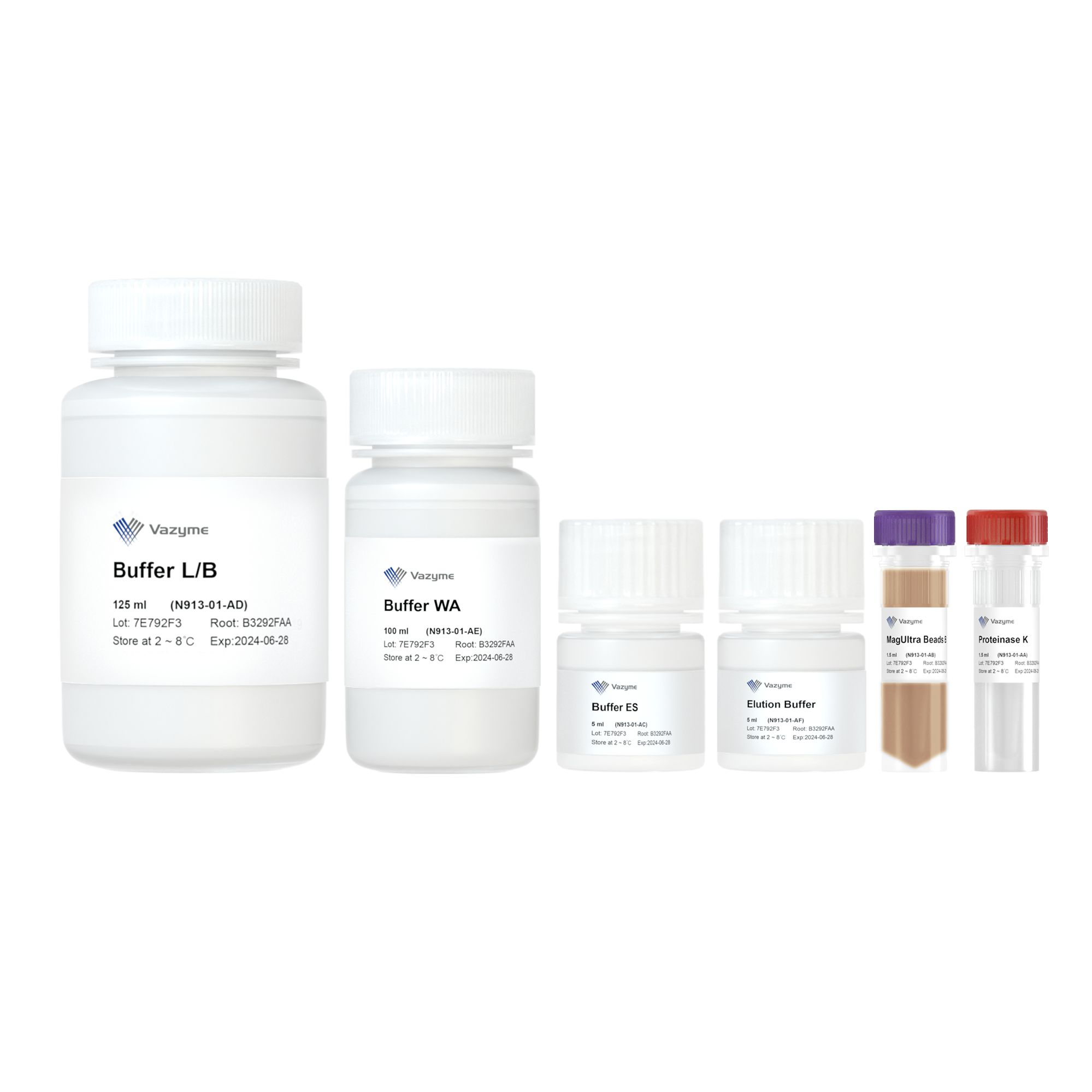 VAMNE MagUltra Circulating Cell-free DNA Isolation Kit( N913)