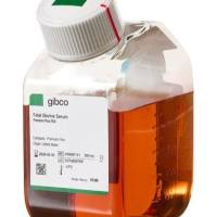 Gibco澳洲胎牛血清A5669701