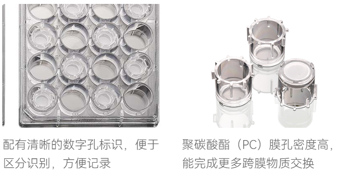 PC膜插入式培养皿