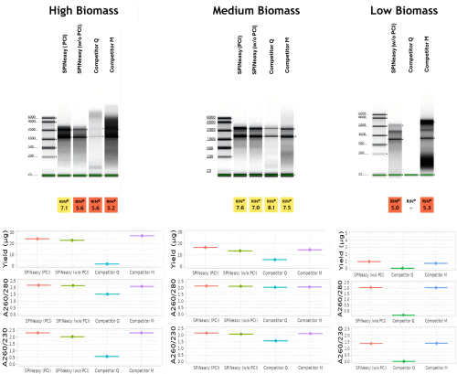 MP SPINeasy™土壤RNA提取试剂盒11658505