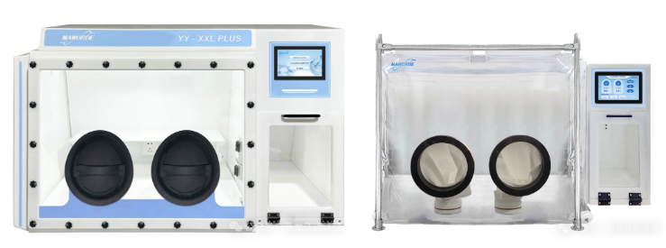 文献解读——比较基因组学揭示鲸类深海潜水的分子适应机制