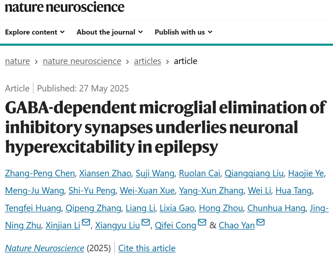Nat Neurosci. | 闫超/丛启飞/刘翔宇/李新建合作揭示小胶质细胞介导的抑制性突触清除在癫痫中的作用