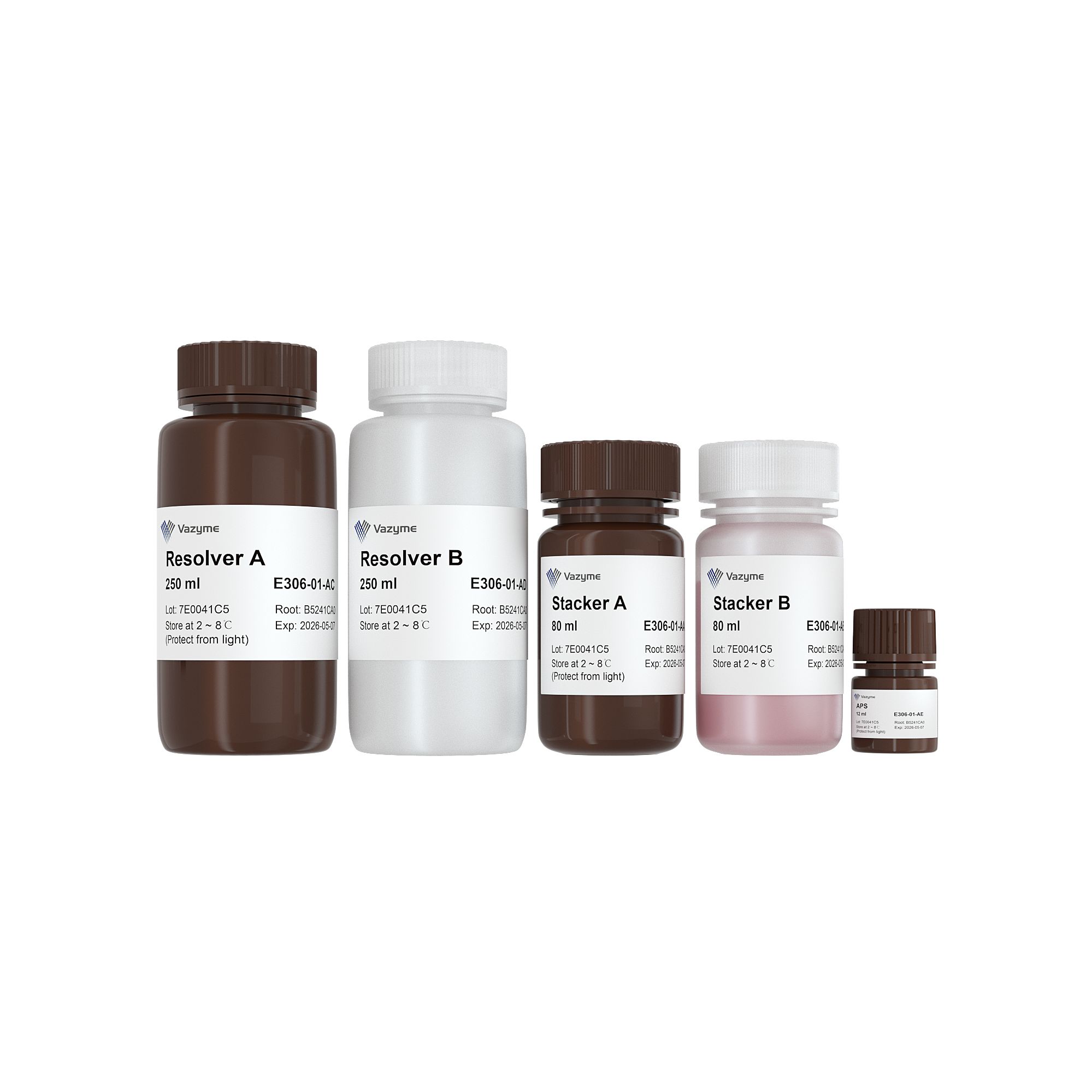 One-Step PAGE Gradient Gel Fast Preparation Kit（E306）