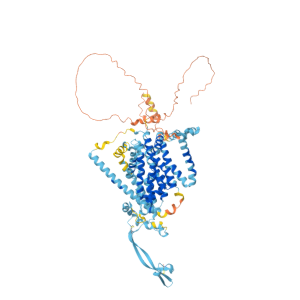 肿瘤病理靶点：MLH1和NaPi2b/SLC34A2解析
