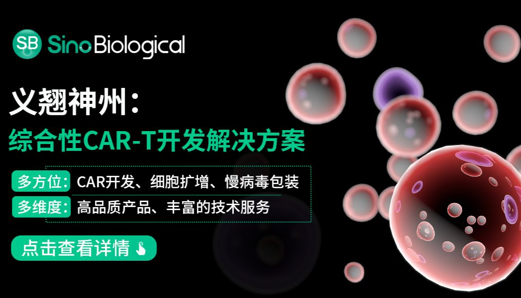 体内CAR-T异军突起，在自身免疫性疾病方面有哪些突破呢？