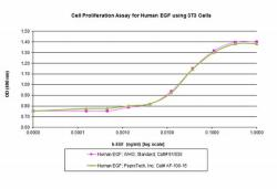 Animal-Free Human EGF (100ug)