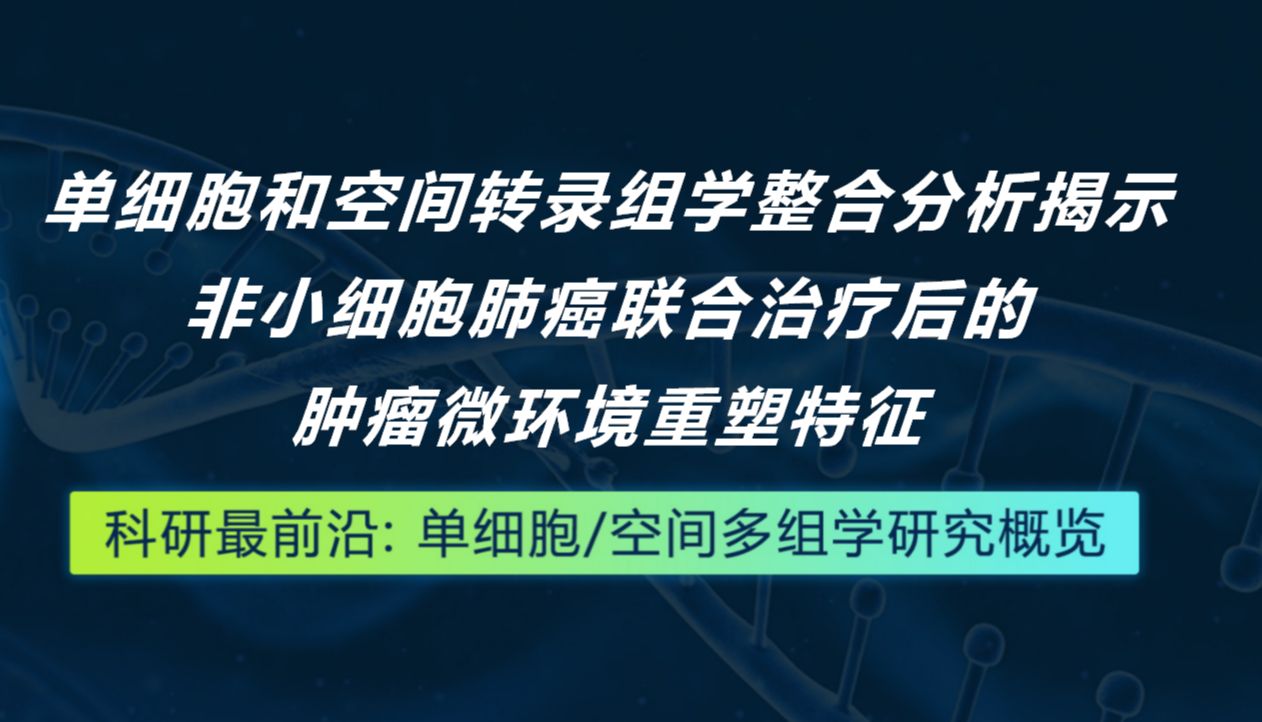 科研最前沿 | 单细胞和空间转录组学整合分析揭示非小细胞肺癌联合治疗后的肿瘤微环境重塑特征