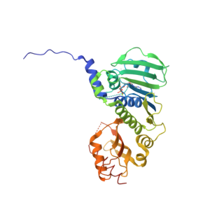 肿瘤病理靶点：MLH1和NaPi2b/SLC34A2解析