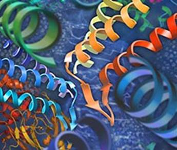 蛋白纯化仪实验步骤全流程技术要点概述-赛默飞