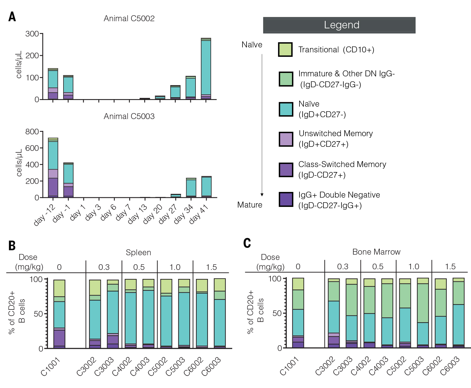 体内CAR-T异军突起，在自身免疫性疾病方面有哪些突破呢？