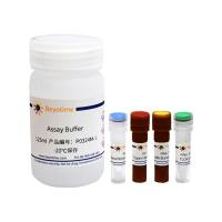 胰蛋白酶活性检测试剂盒(显色法)