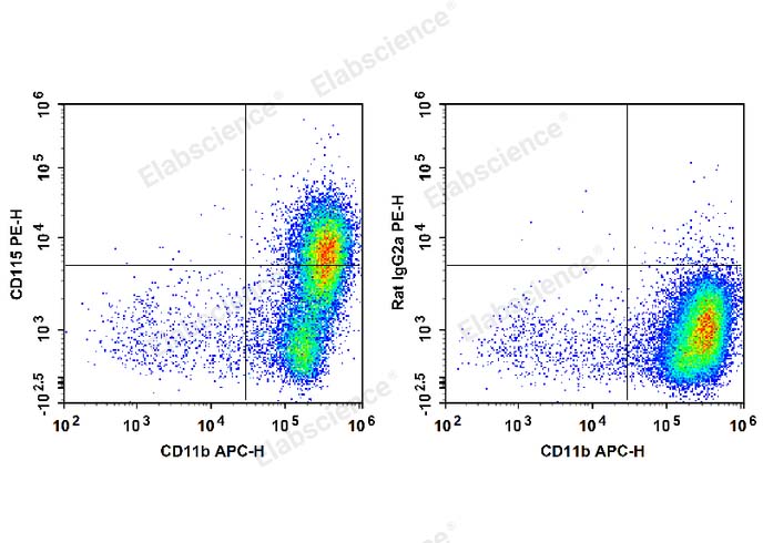 Elabscience PE 标记抗小鼠CD115/CSF-1R抗体：助力巨噬细胞研究新突破