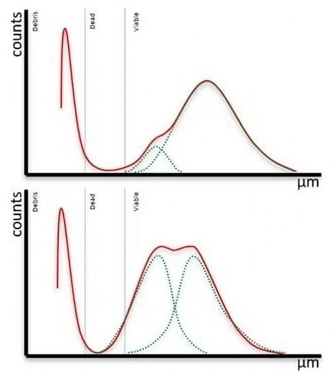 细胞分析新突破,CASY Cell Counter 来助力!