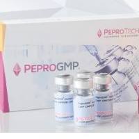 100-14B Human PDGF-BB (2ug)