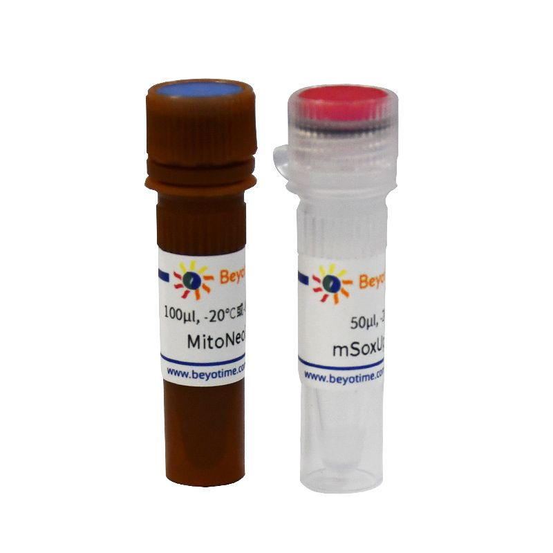 线粒体超氧化物检测试剂盒(MitoNeoD)