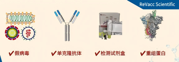 维百奥生物代理ReVacc Scientific品牌全系列产