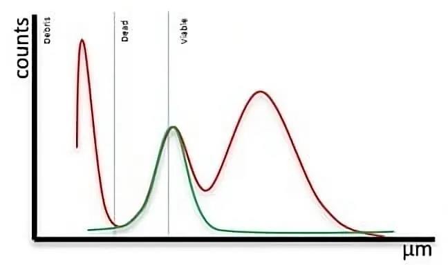 细胞分析新突破,CASY Cell Counter 来助力!
