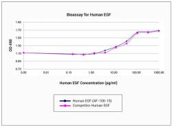 Animal-Free Human EGF (100ug)