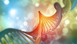 从单点突变到全基因组：分子技术引领精准肿瘤诊断新时代