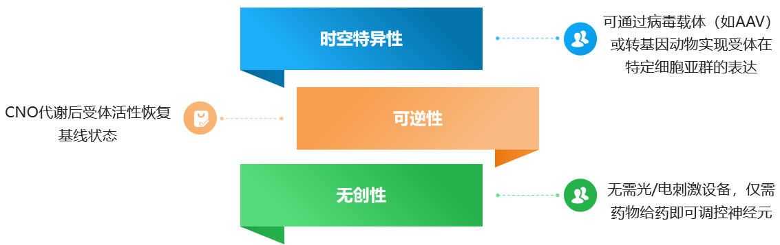 化学遗传操控小鼠：DREADDs与CNO的完美组合