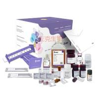 Grape seed extract