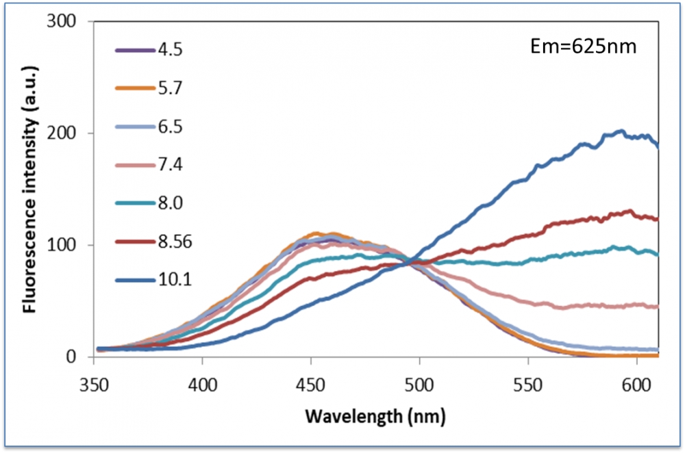 RatioWorks PH165, NHS ester pH