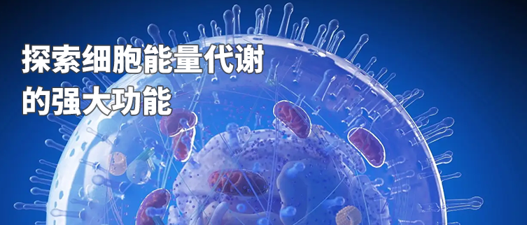 全新安捷伦 Seahorse XF Flex 代谢分析平台，更强的 3D 模型分析能力让您的研究如虎添翼！