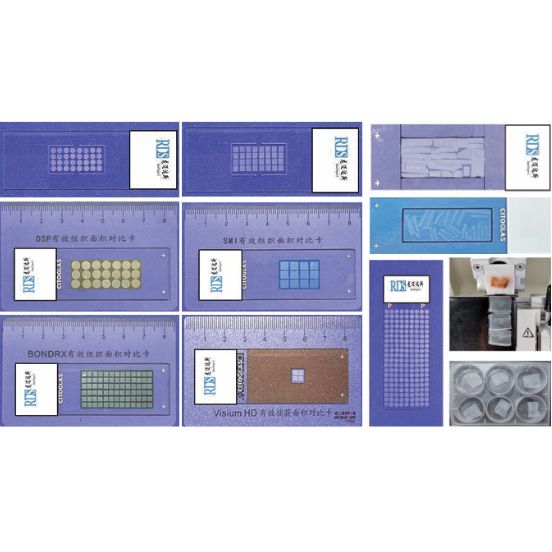 组织蜡膜制作组织芯片⟪专利技术⟫