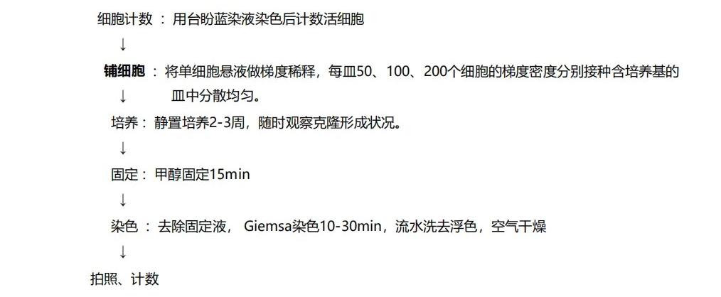 技术资料图片11