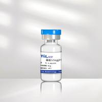 重组人Noggin蛋白