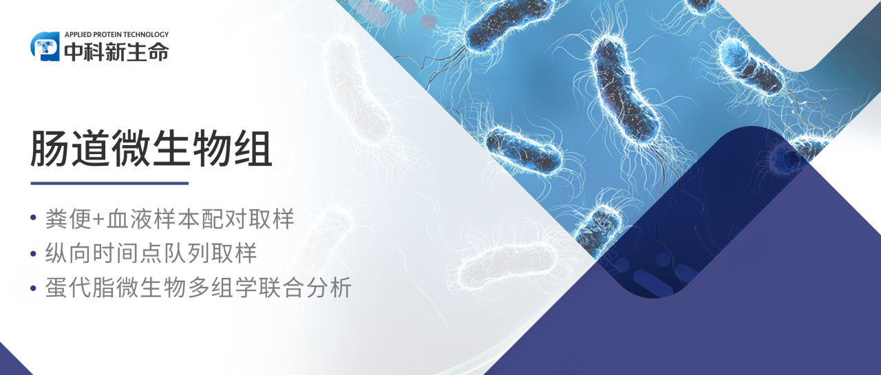 STTT (IF52.7) | 快给自己松松压！压力不仅引起肠菌失调还会“催生”癌症 ！大连医科大学团队从机制出发揭示解压途径