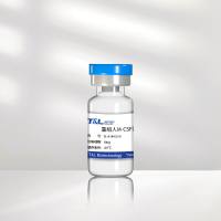 重组人M-CSF蛋白 | M-CSF