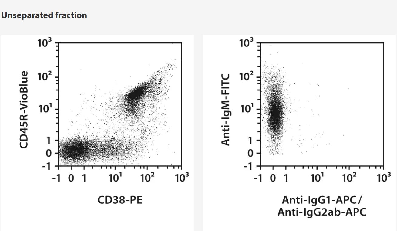 美天旎Miltenyi货号130-095-838小鼠记忆B细